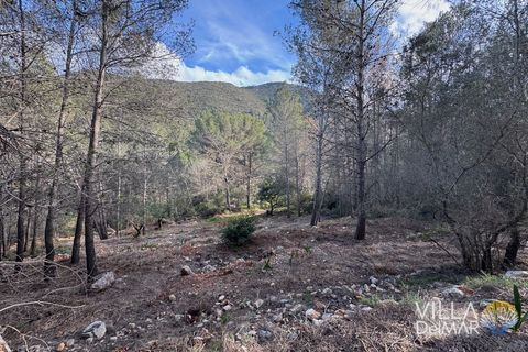 Helårsgrund i Jalon, Alicante, Jalon - € 210.000 | Ref: P-601 - foto 12